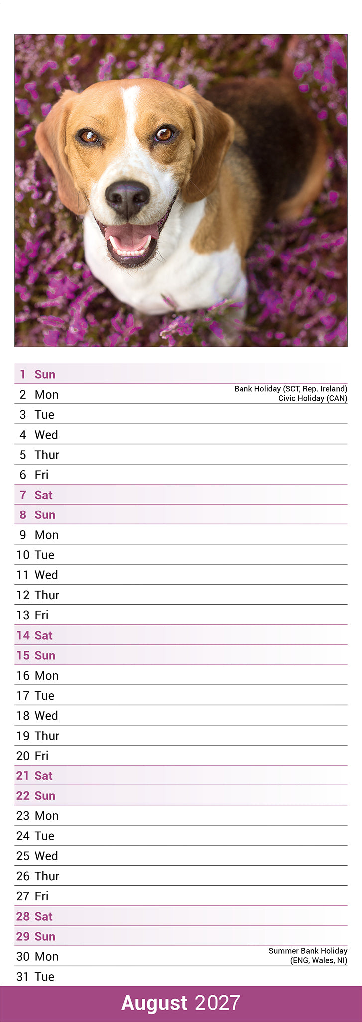 otter-house-beagle-slim-kalender-2027-hundekalender image 3
