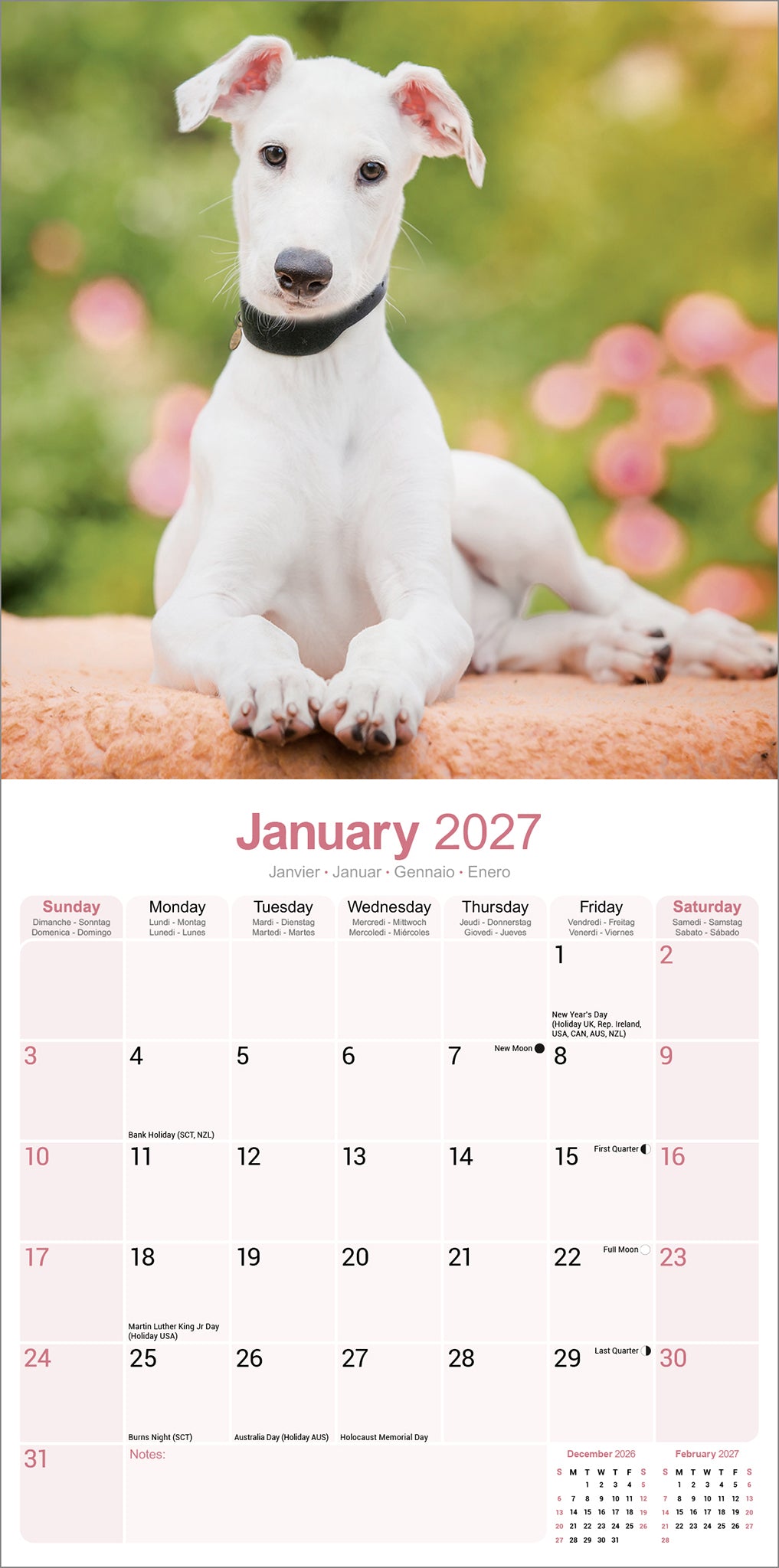 otter-house-greyhound-wandkalender-2027-hunde-kalender image 3