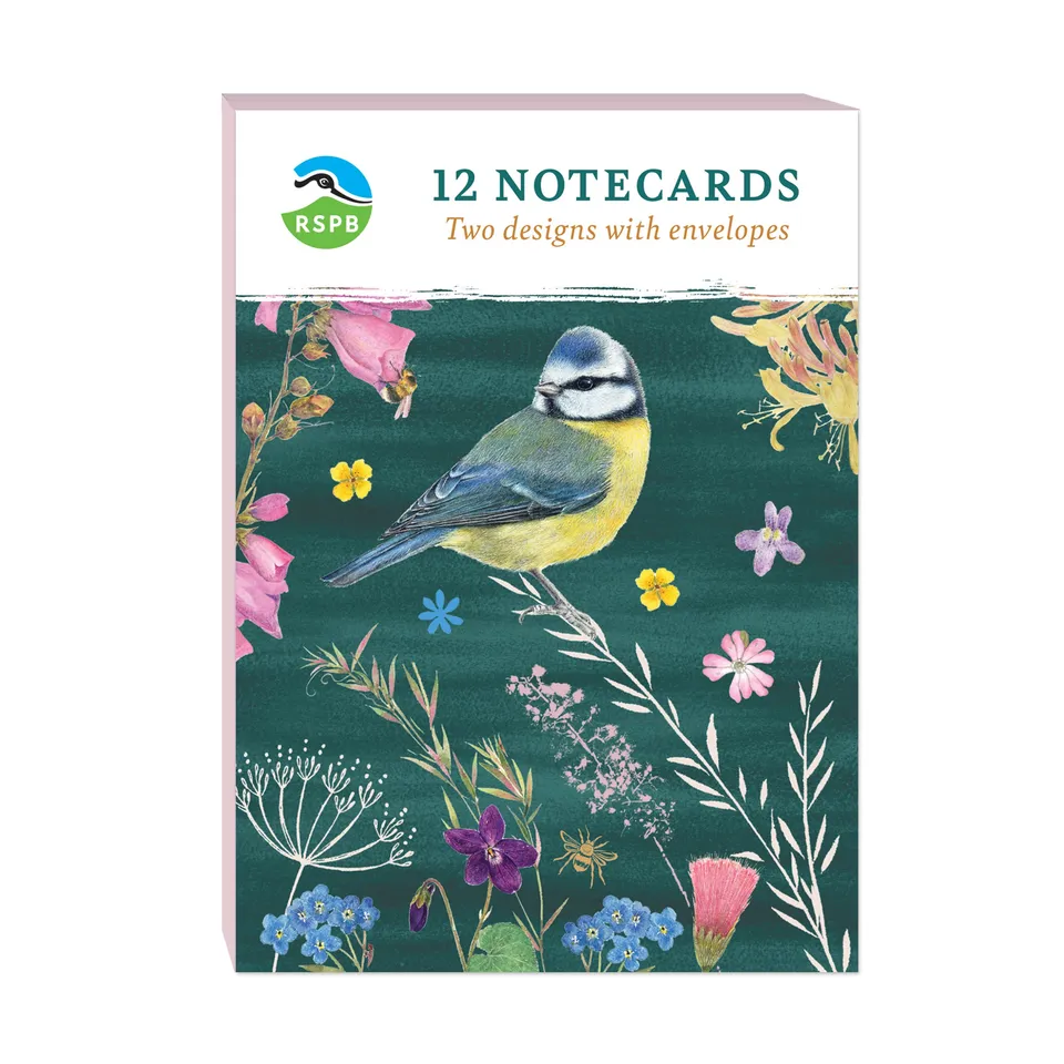 otter-house-beyond-hedgerow-a6-notecard-pack-12-karten-v-gel image 1