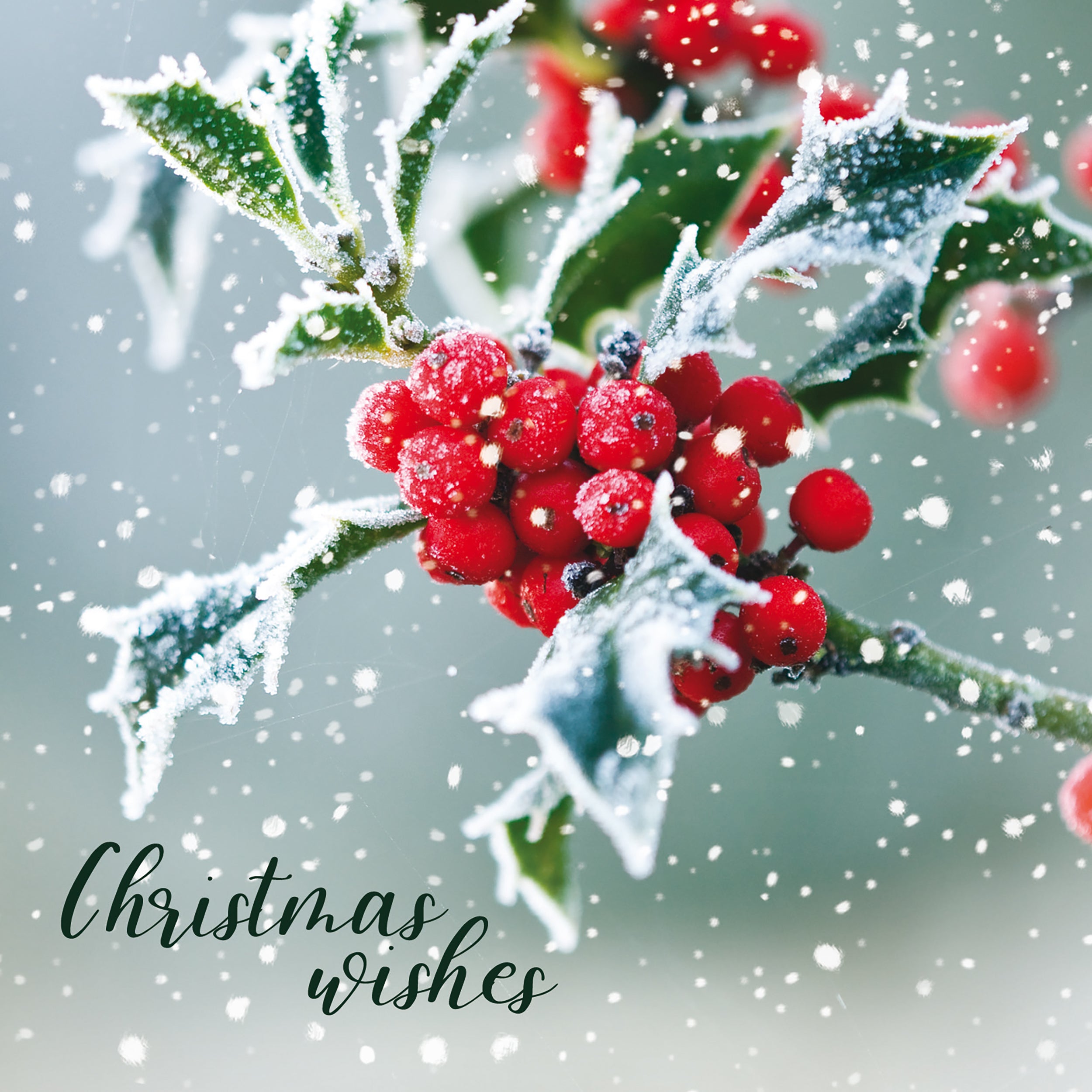 otter-house-christmas-falling-snow-weihnachtskarten-set-schnee image 3