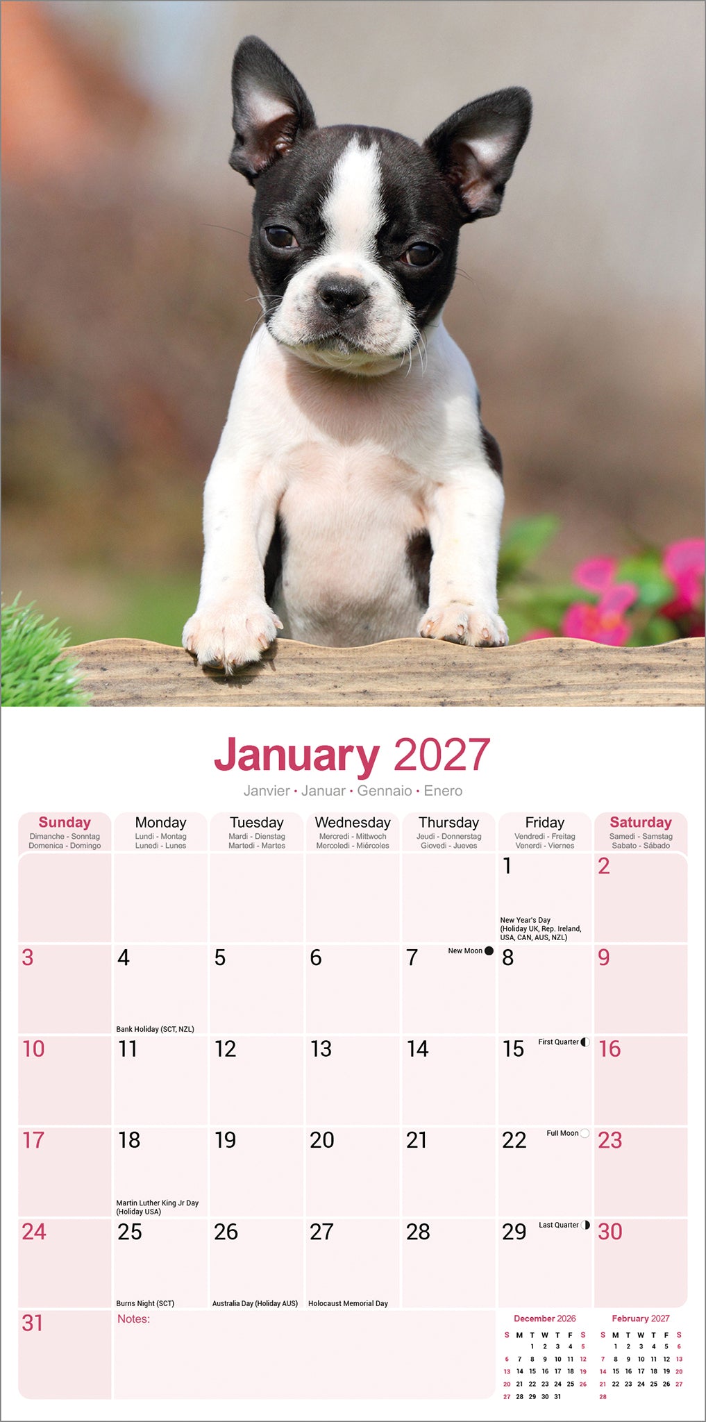 otter-house-boston-terrier-wandkalender-2027-hunde image 3