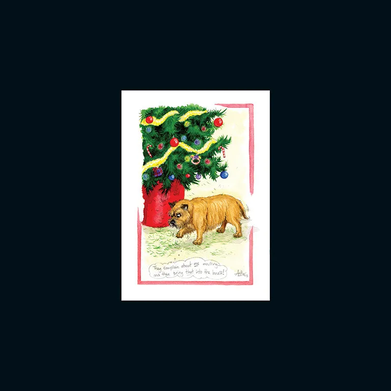 otter-house-alisons-animals-weihnachtskarte-hund-witzig image 1