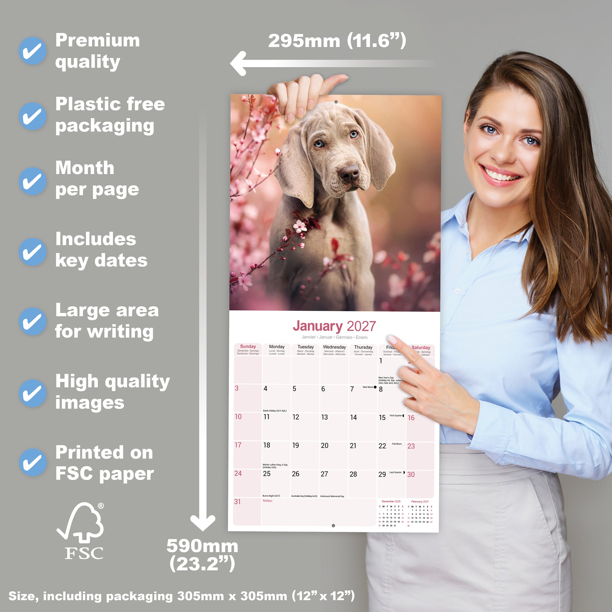 otter-house-weimaraner-wandkalender-2027-hundekalender image 4