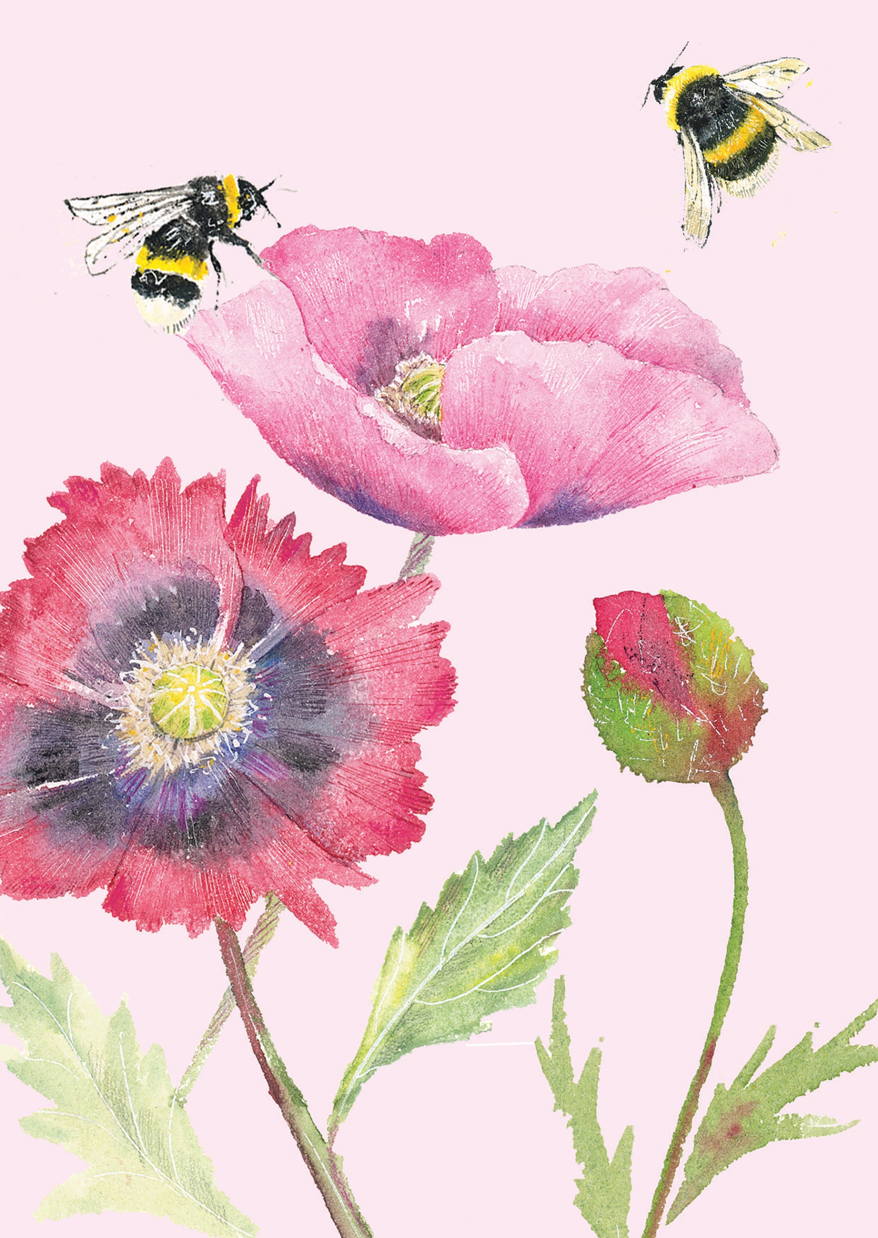 otter-house-beautiful-blooms-mohn-notizkarten-12er-set-a6 image 2