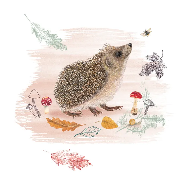 otter-house-rspb-peering-hedgehog-karte-igel-gru-karte image 1