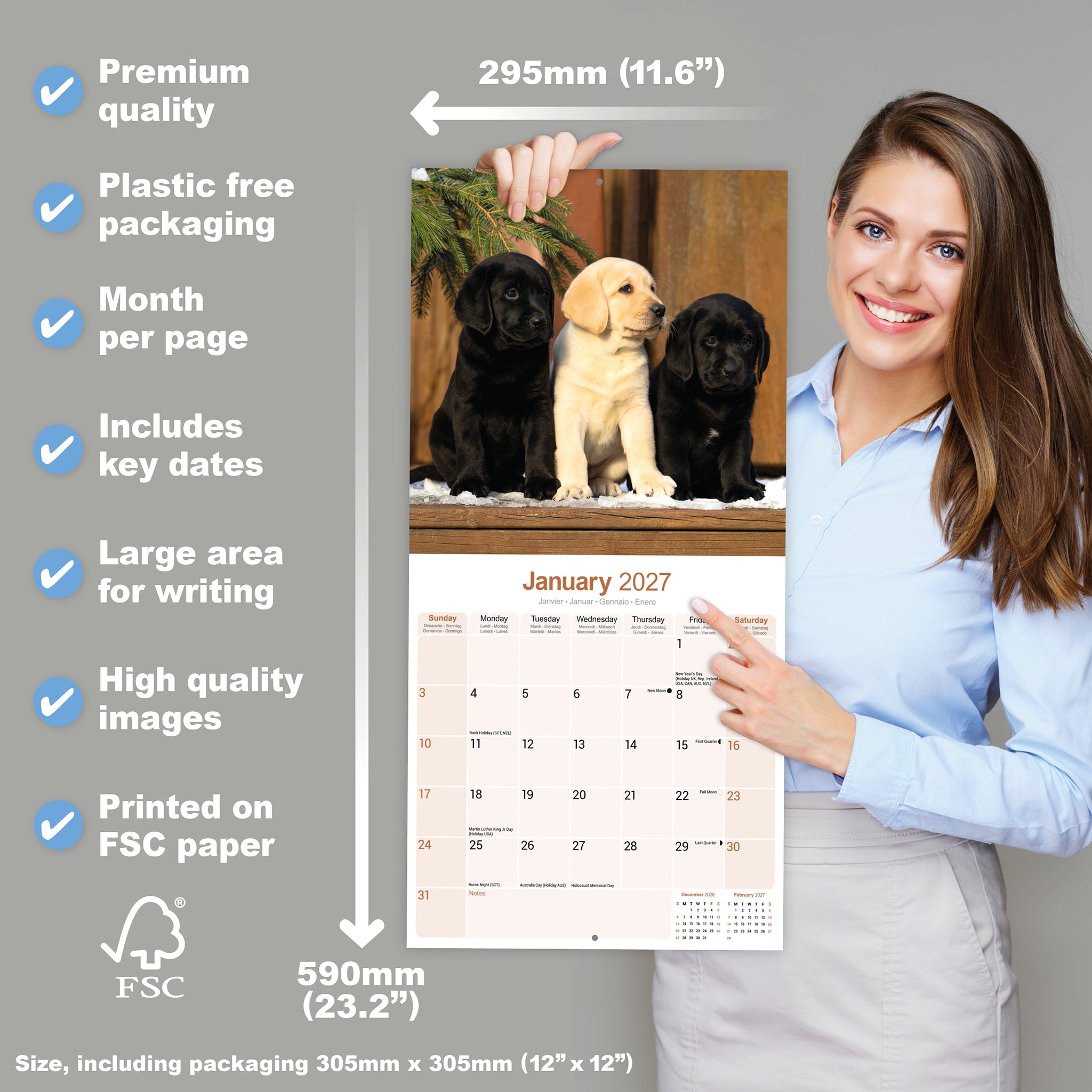 otter-house-labrador-retrievers-wandkalender-2027-hunde image 4