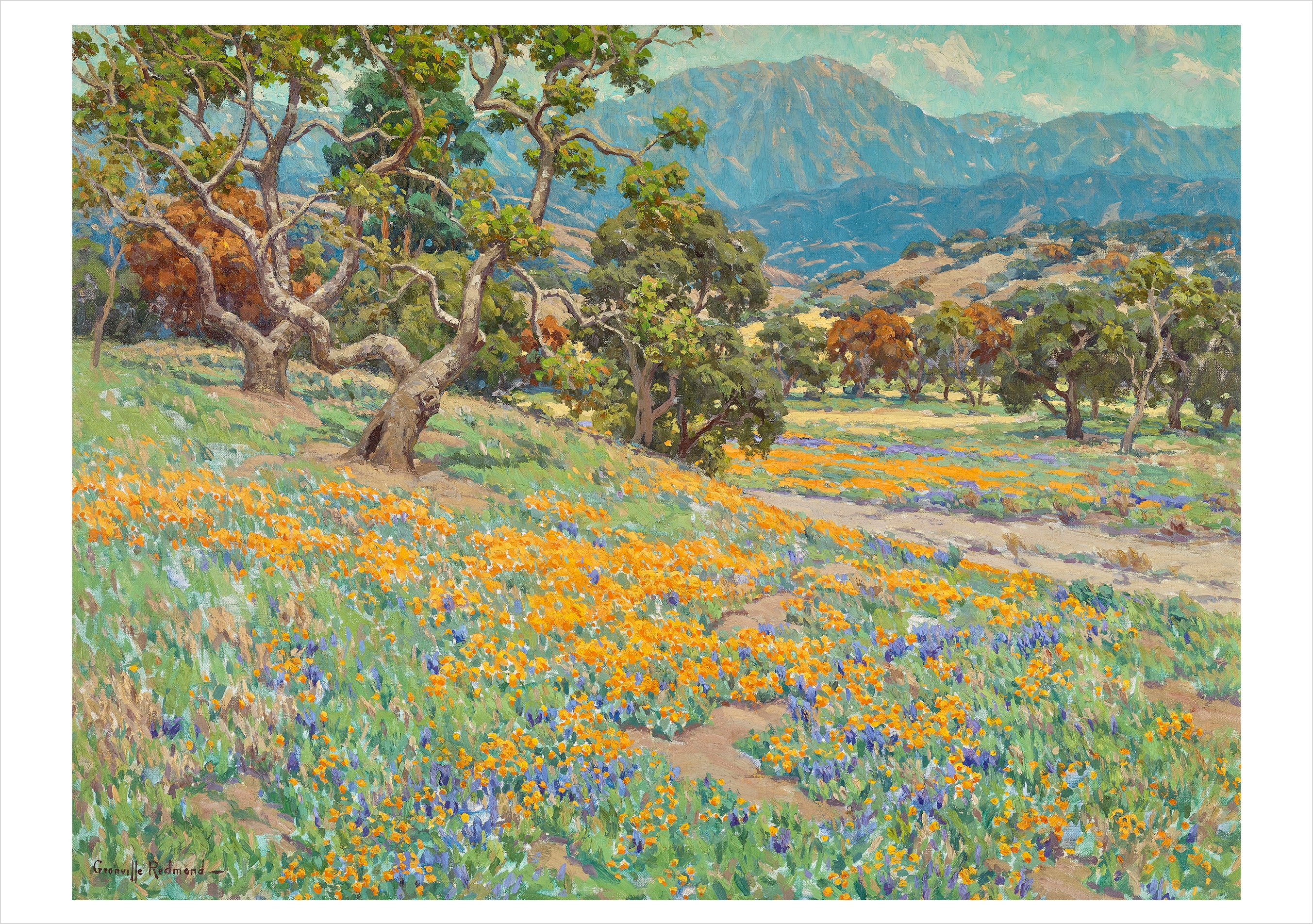 pomegranate-redmond-wild-poppies-gru-kartenset-20-karten-landschaft image 3