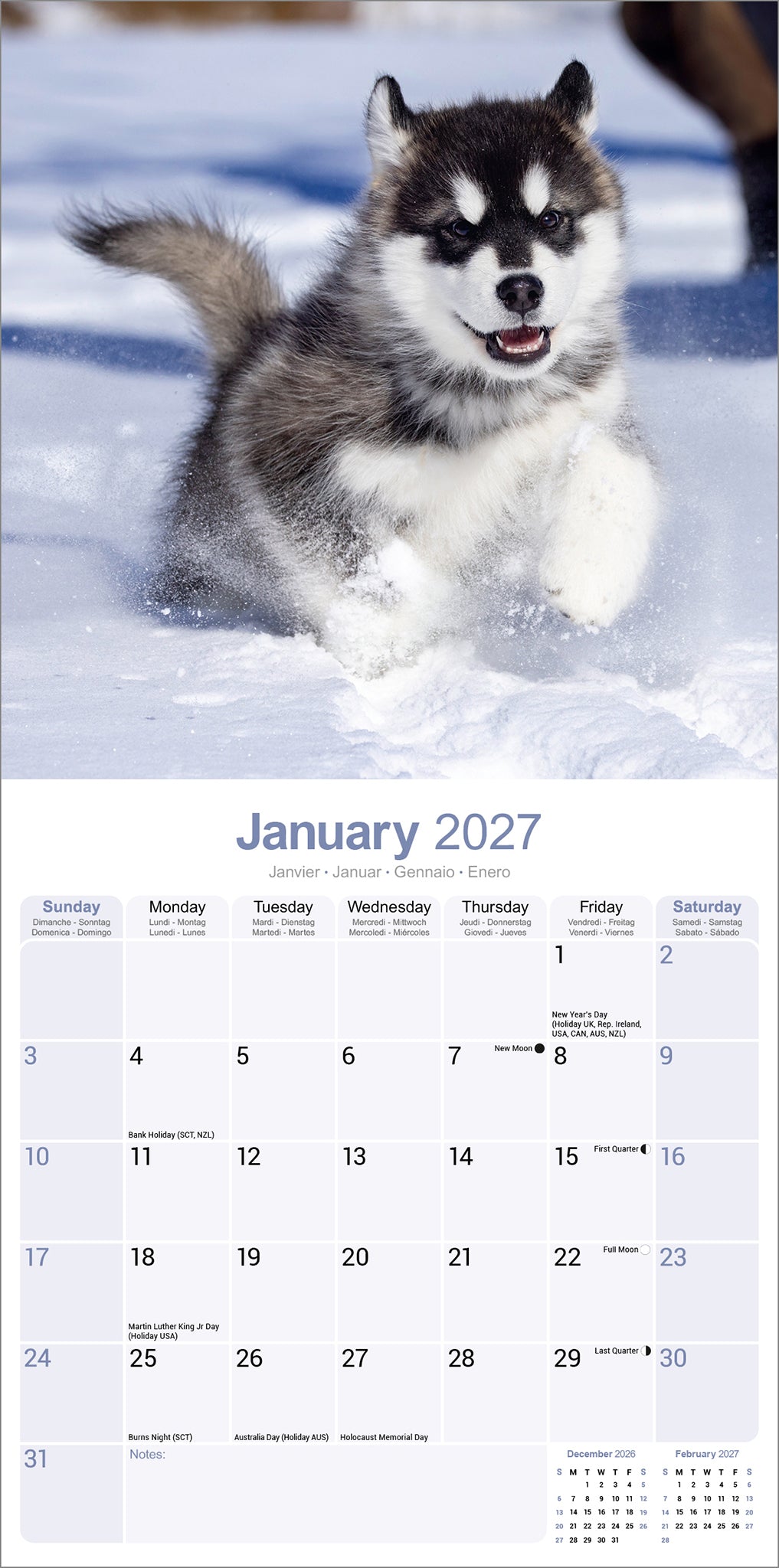 otter-house-calendars-alaskan-malamute-wandkalender-2027-hunde image 3