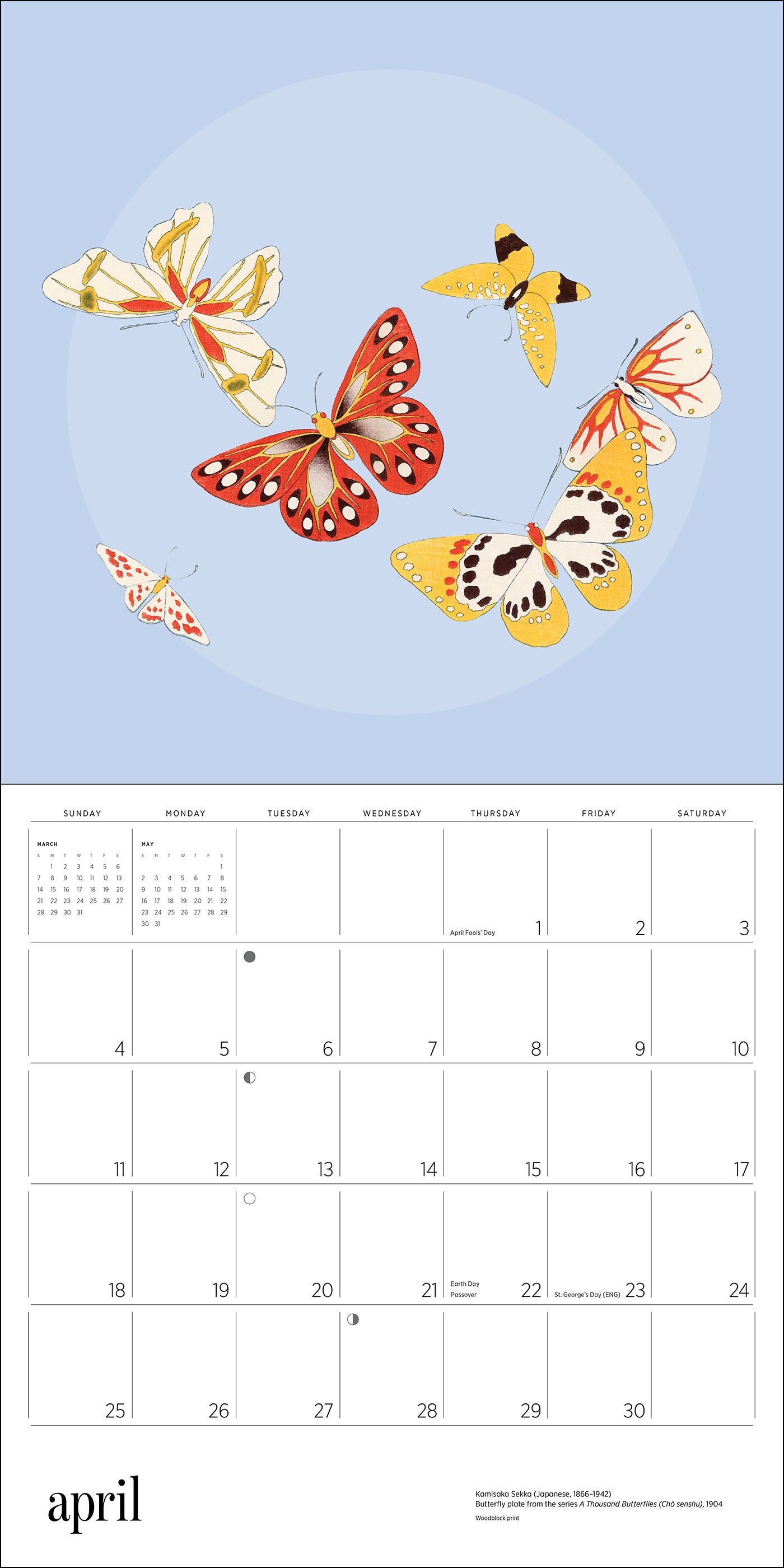 pomegranate-butterflies-2027-wandkalender-schmetterlinge image 6