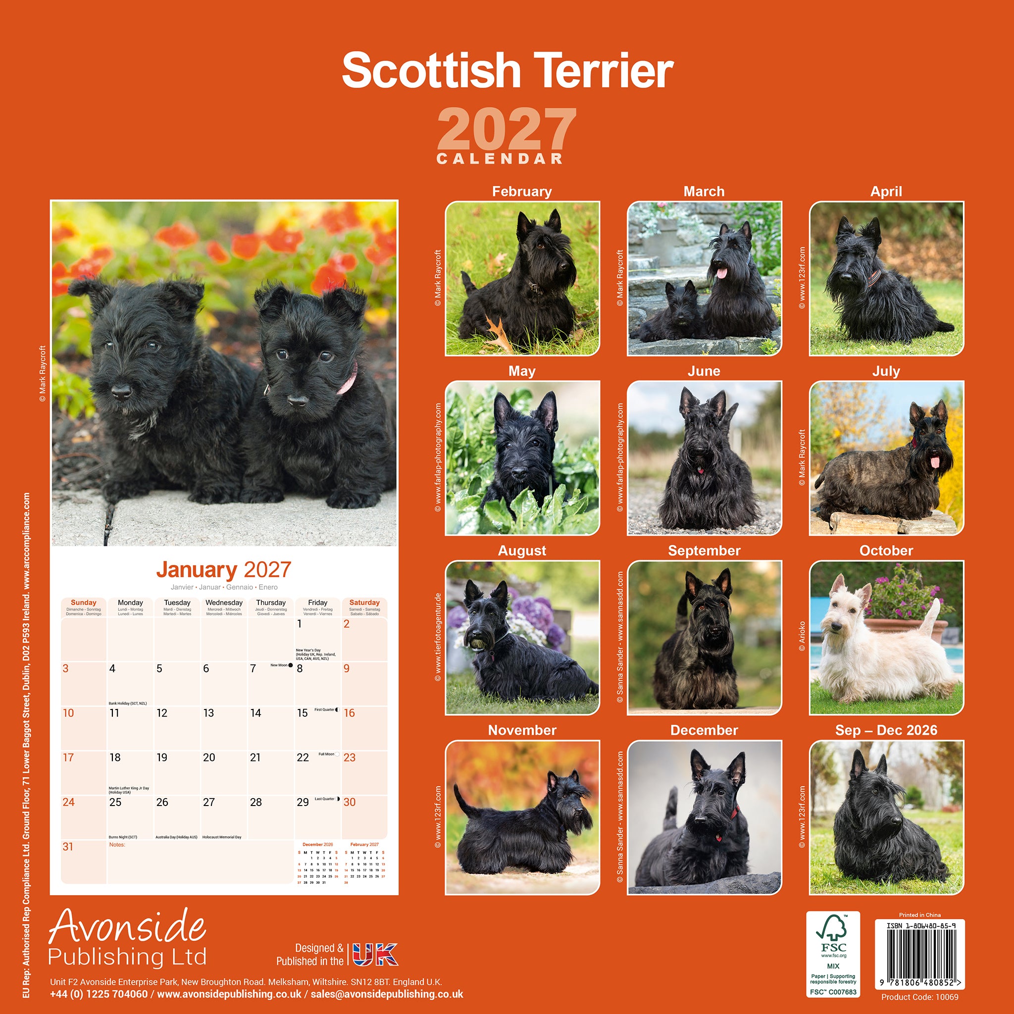 otter-house-scottish-terrier-wandkalender-2027-hunde image 2