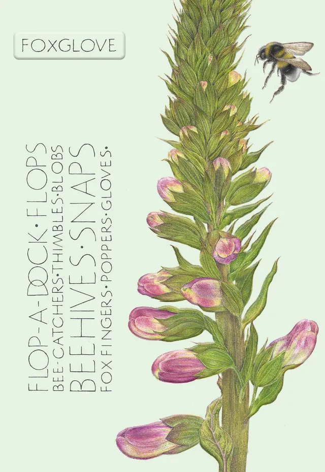 otter-house-foxglove-grusskarte-blume-blanko image 1