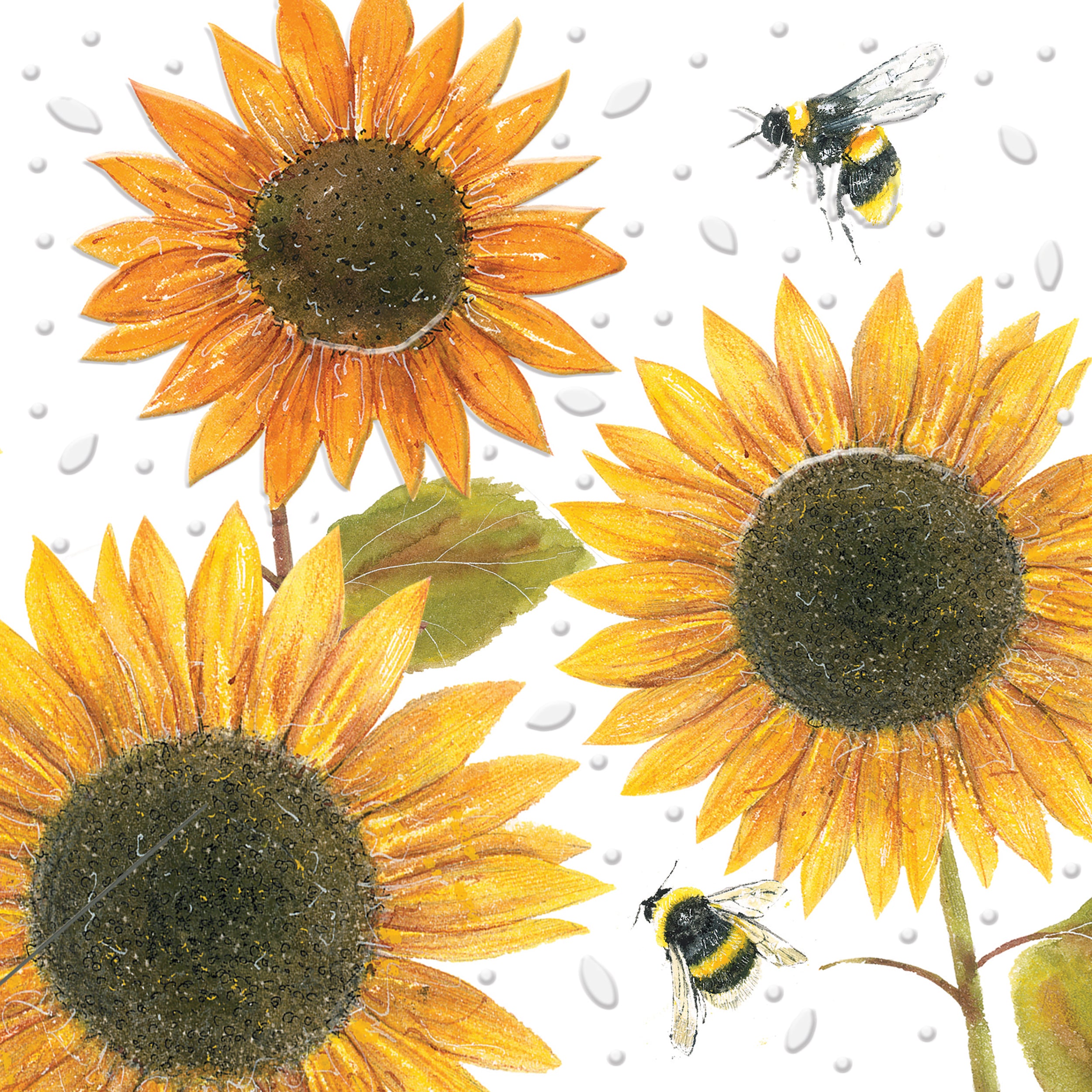 otter-house-beautiful-blooms-sunflowers-gru-karte-sonnenblumen image 1