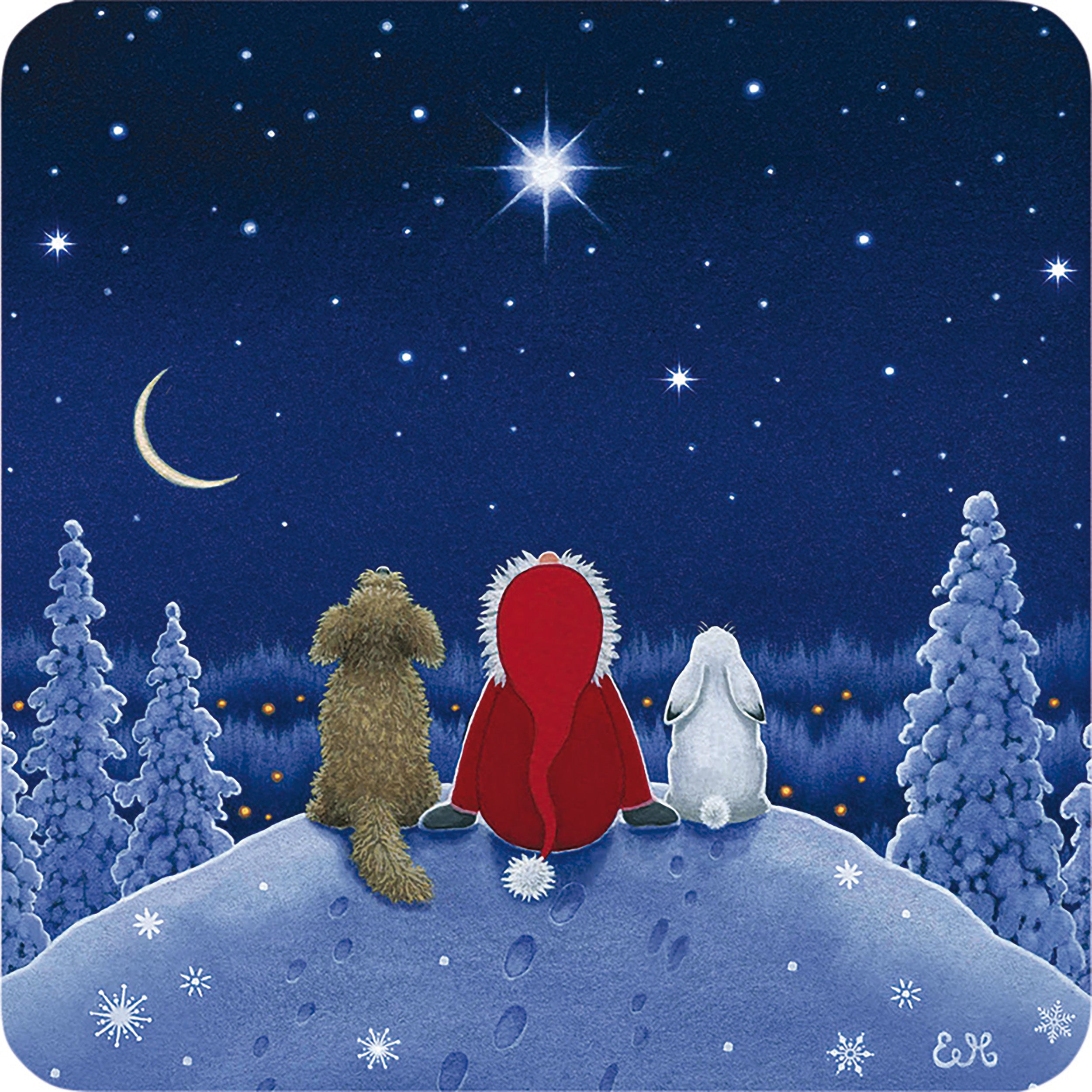 otter-house-christmas-weihnachtskarten-star-gazing-10er-pack image 1