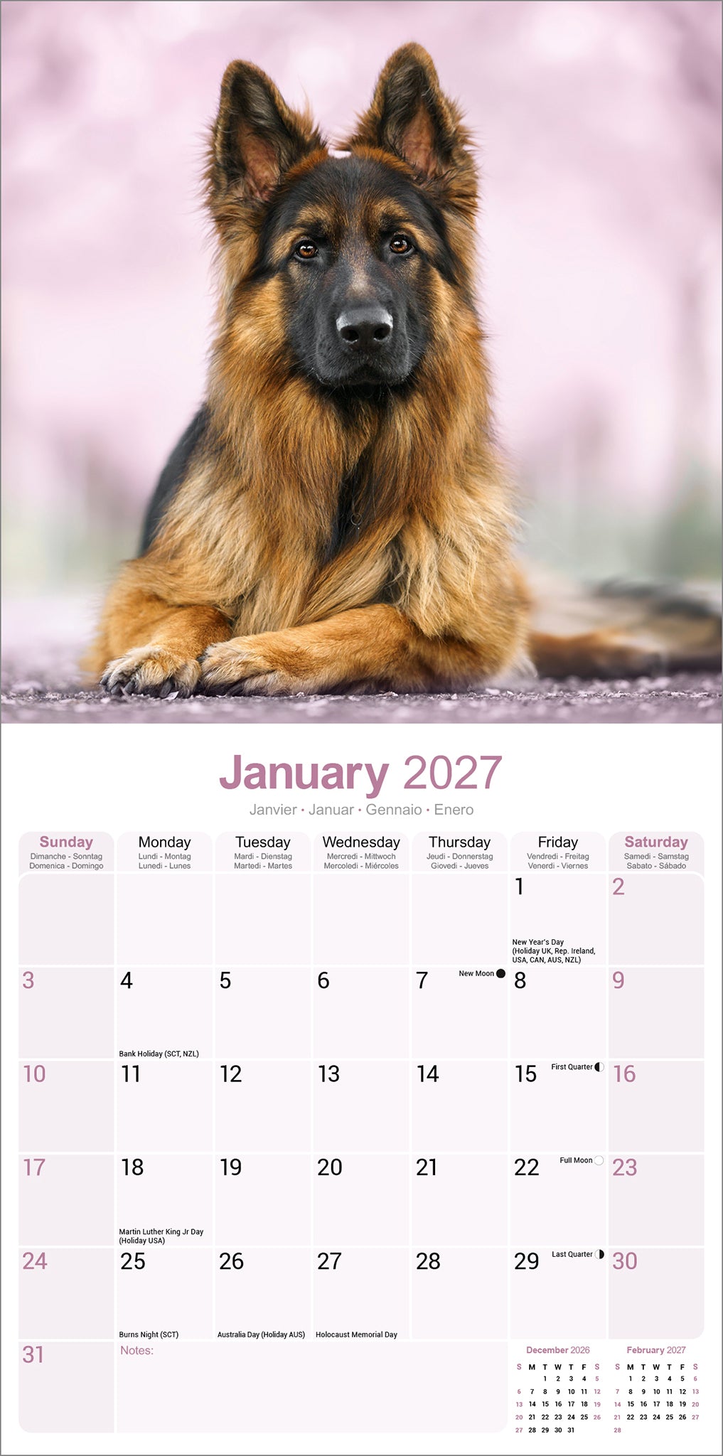 otter-house-german-shepherds-wandkalender-2027-sch-ferhund image 3