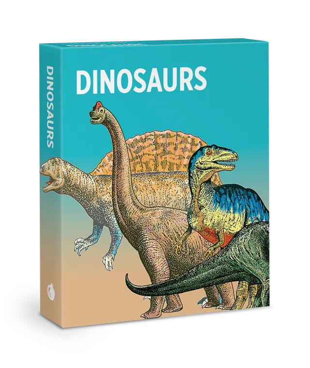 pomegranate-dinosaurier-lernkarten-knowledge-cards-48-karten image 1