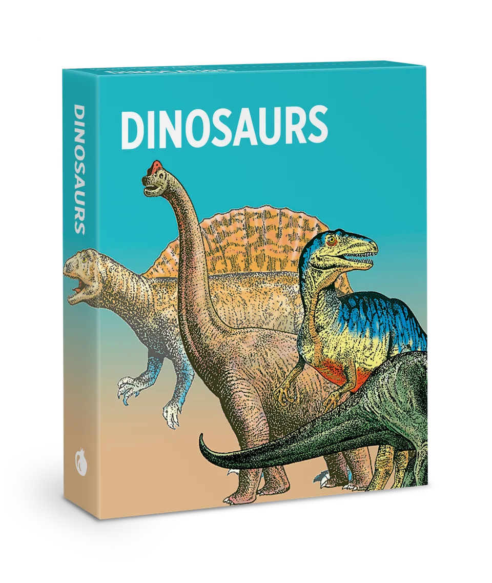 pomegranate-dinosaurier-lernkarten-knowledge-cards-48-karten image 1