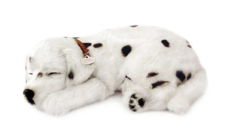 otter-house-precious-petzzz-dalmatiner-pl-schtier-atmend-bett image 1