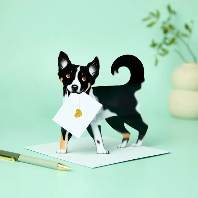 otter-house-special-delivery-collie-karte-160x160-hund image 1