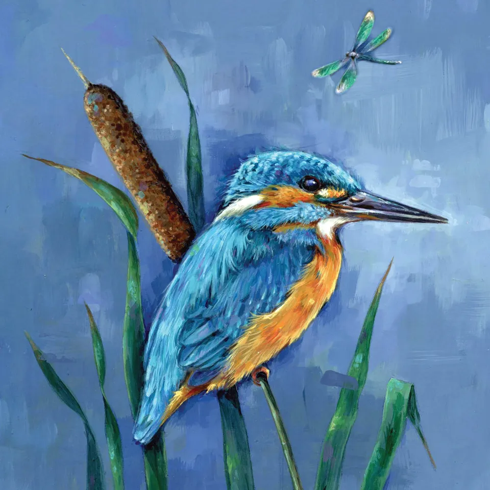 otter-house-wild-friends-gru-karte-eisvogel-kingfisher image 1