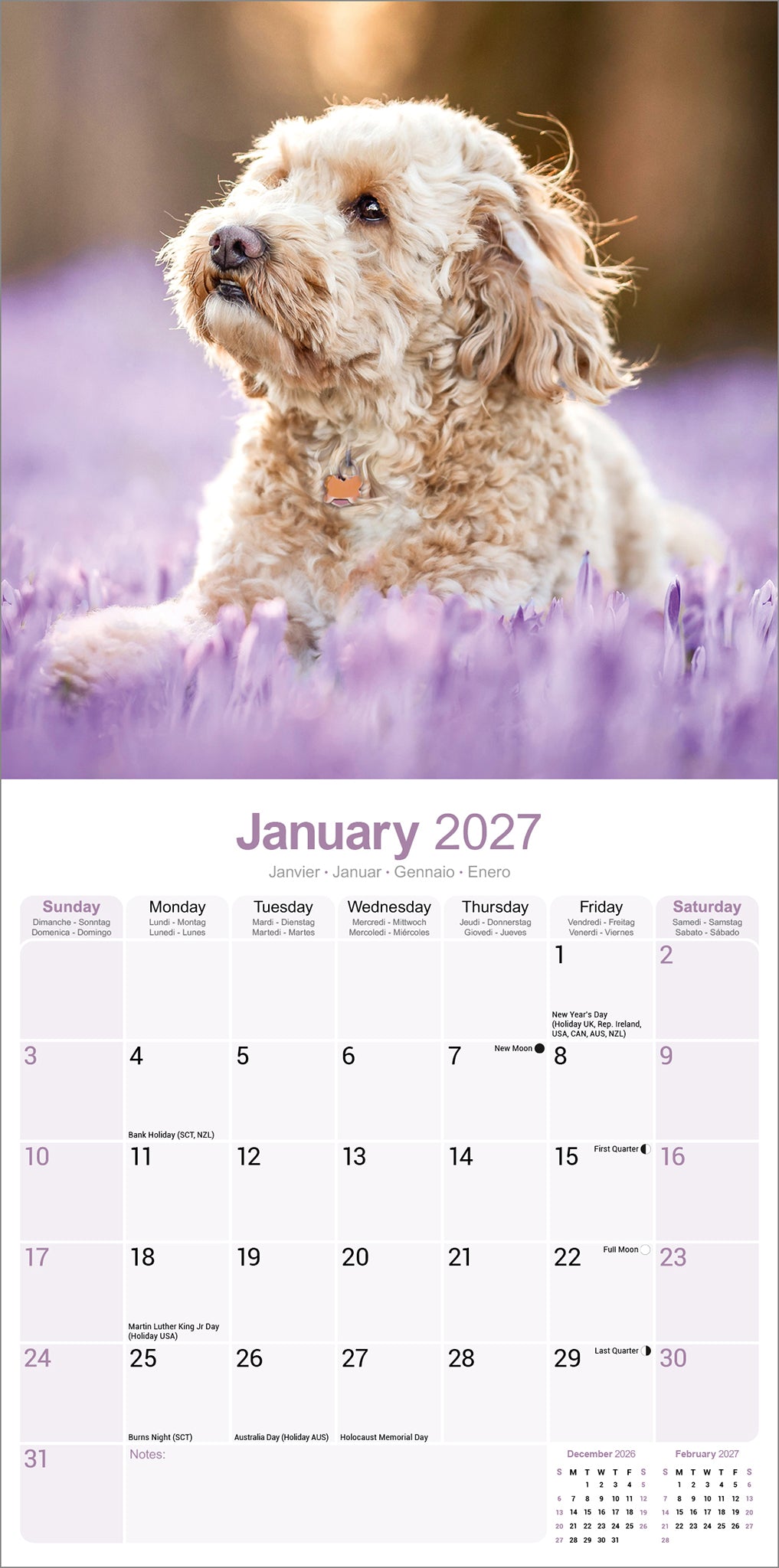 otter-house-cockapoo-wandkalender-2027-hunde image 3
