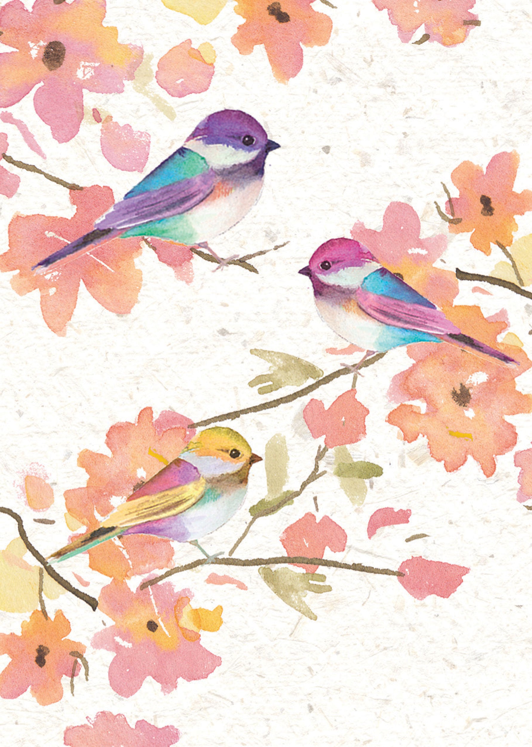 otter-house-birds-blossom-mini-notizkarten-6er-v-gel image 2
