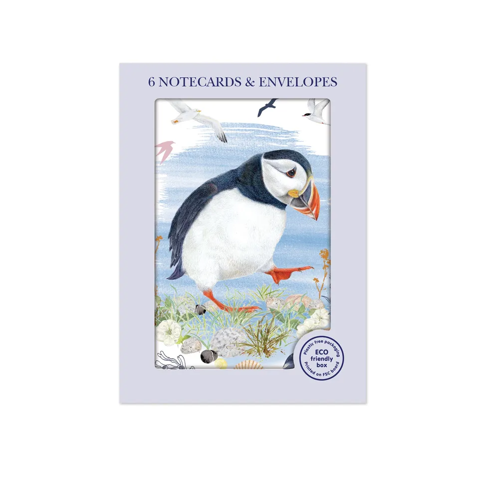 otter-house-puffin-mini-notecard-pack-grusskarten-6-karten image 1