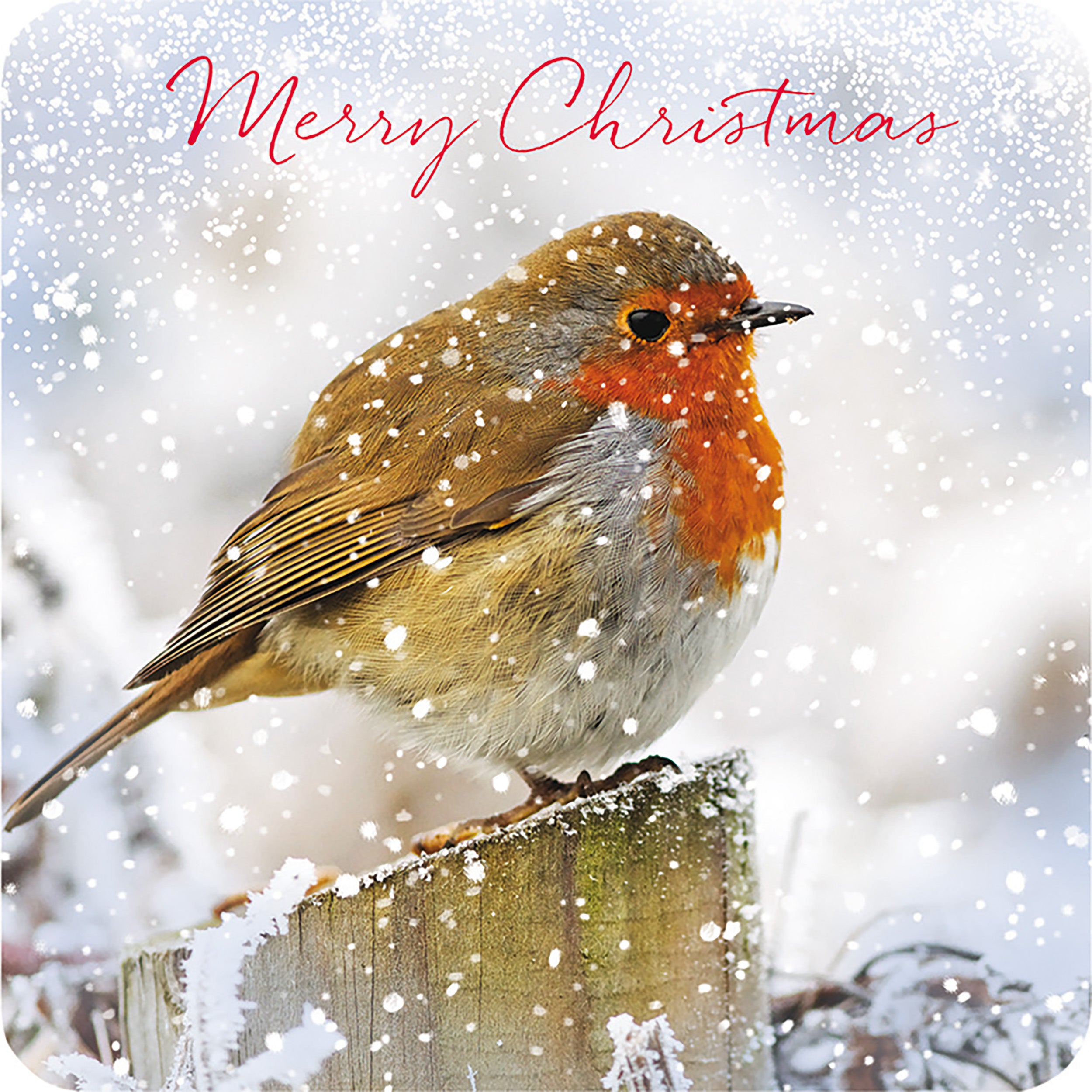 otter-house-christmas-winter-friend-weihnachtskarte-10er-pack image 2