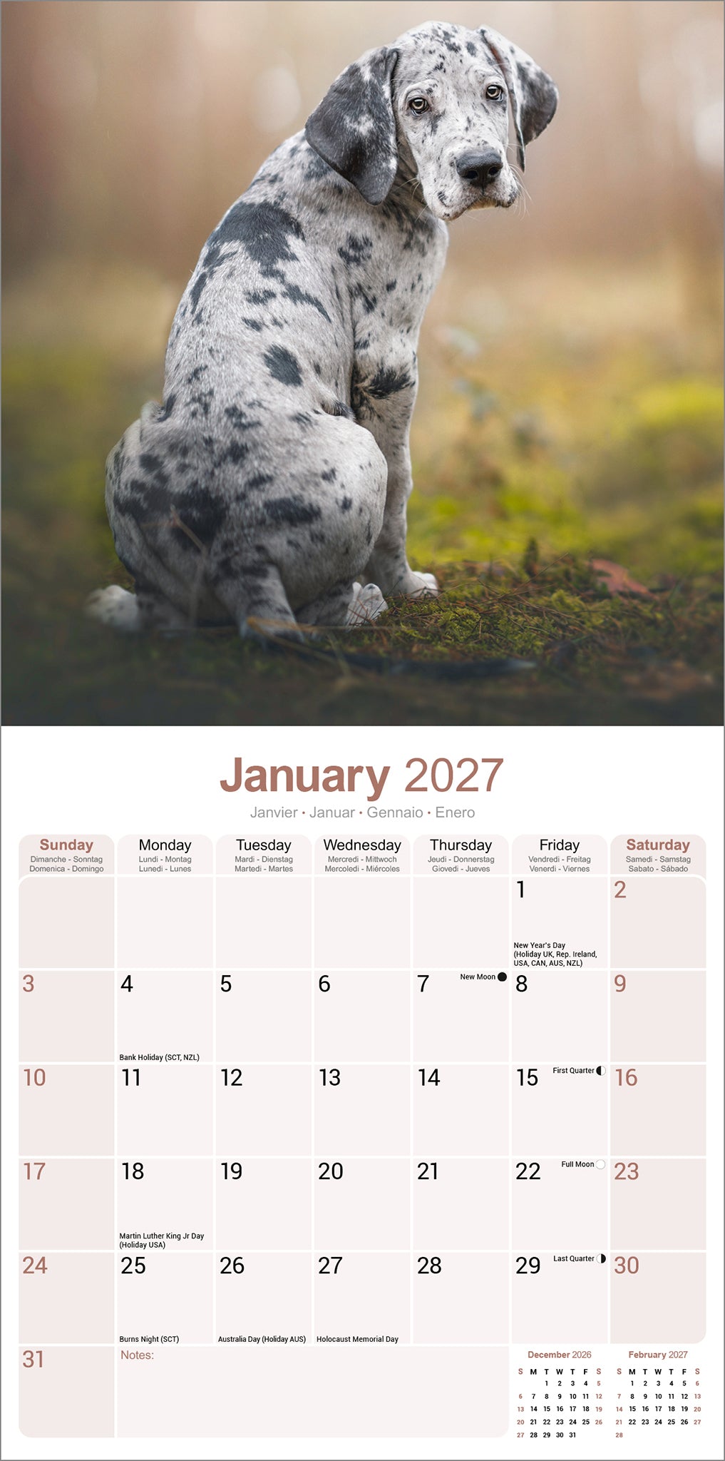 otter-house-great-dane-wandkalender-2027-deutsche-dogge image 3