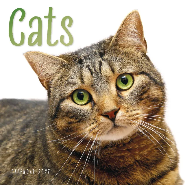 otter-house-cats-wandkalender-2027-katzenbilder image 1