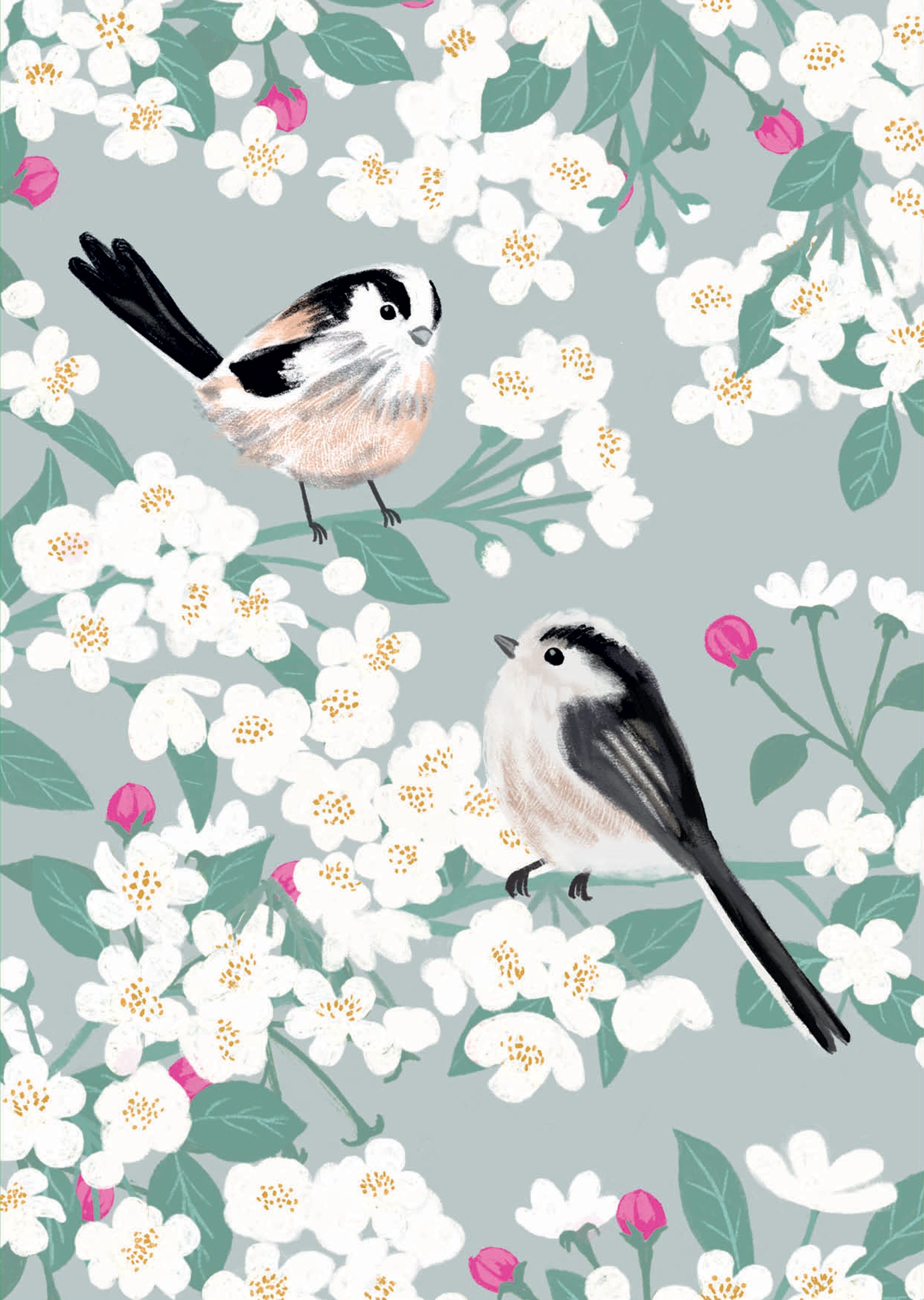 otter-house-rspb-white-blossom-notecards-12-karten image 2