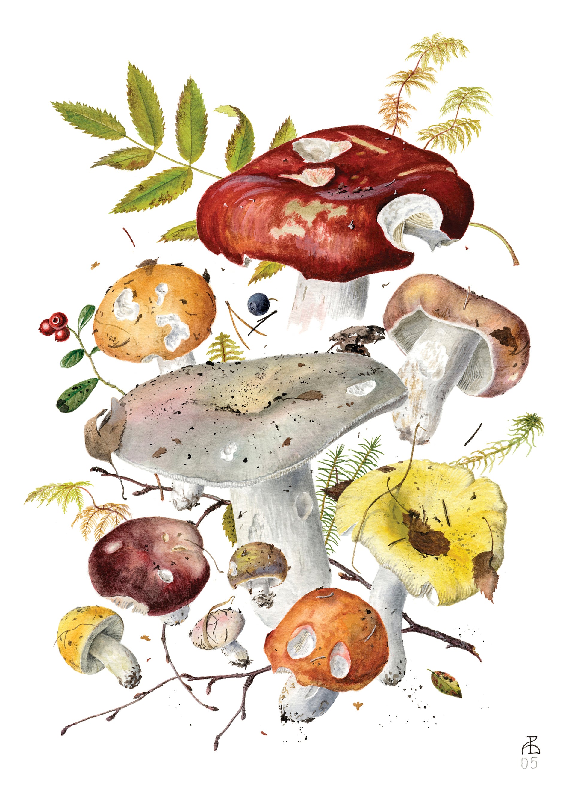 pomegranate-mushrooms-viazmensky-kartenbox-20-klappkarten image 3