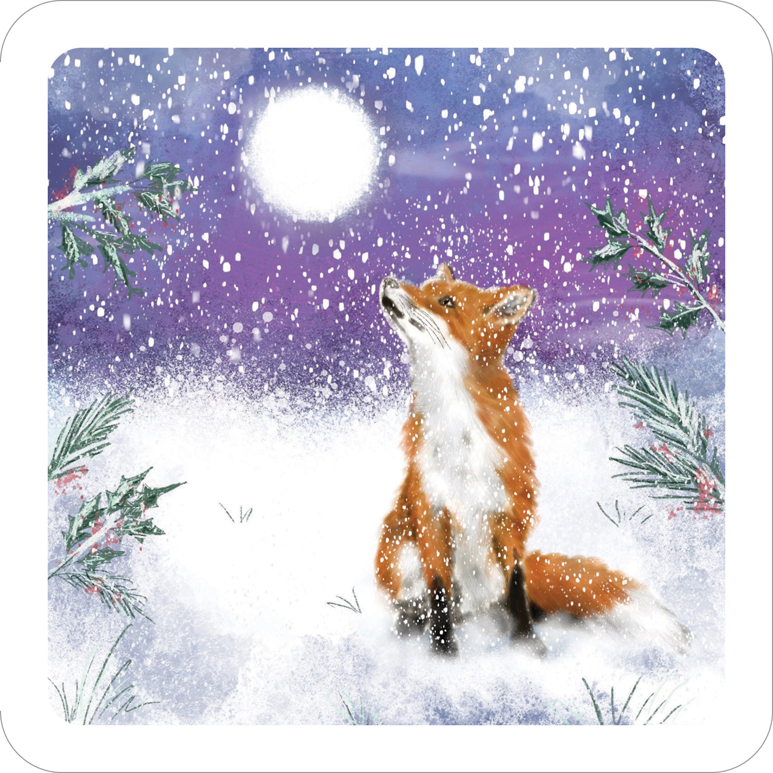 otter-house-moonlight-friends-weihnachtskarten-10er-pack image 1