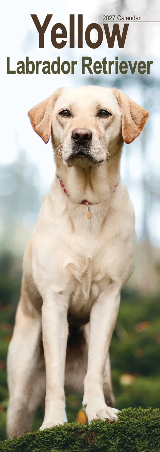 otter-house-labrador-retriever-slim-kalender-2027-hund image 1