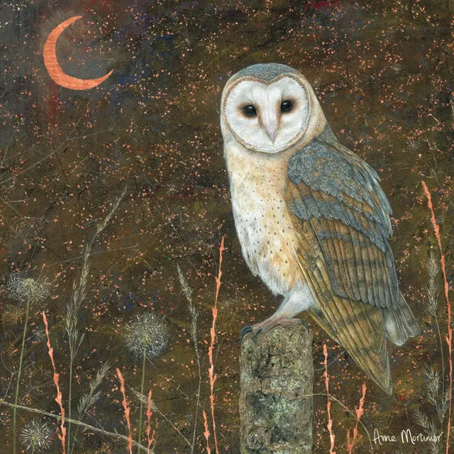 otter-house-enchanted-wildlife-gru-karte-barn-owl-eule image 1