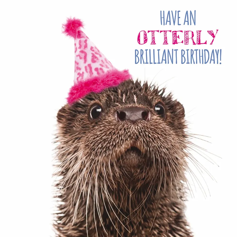otter-house-pet-pawtrait-gru-karte-otterly-brilliant-otter image 1