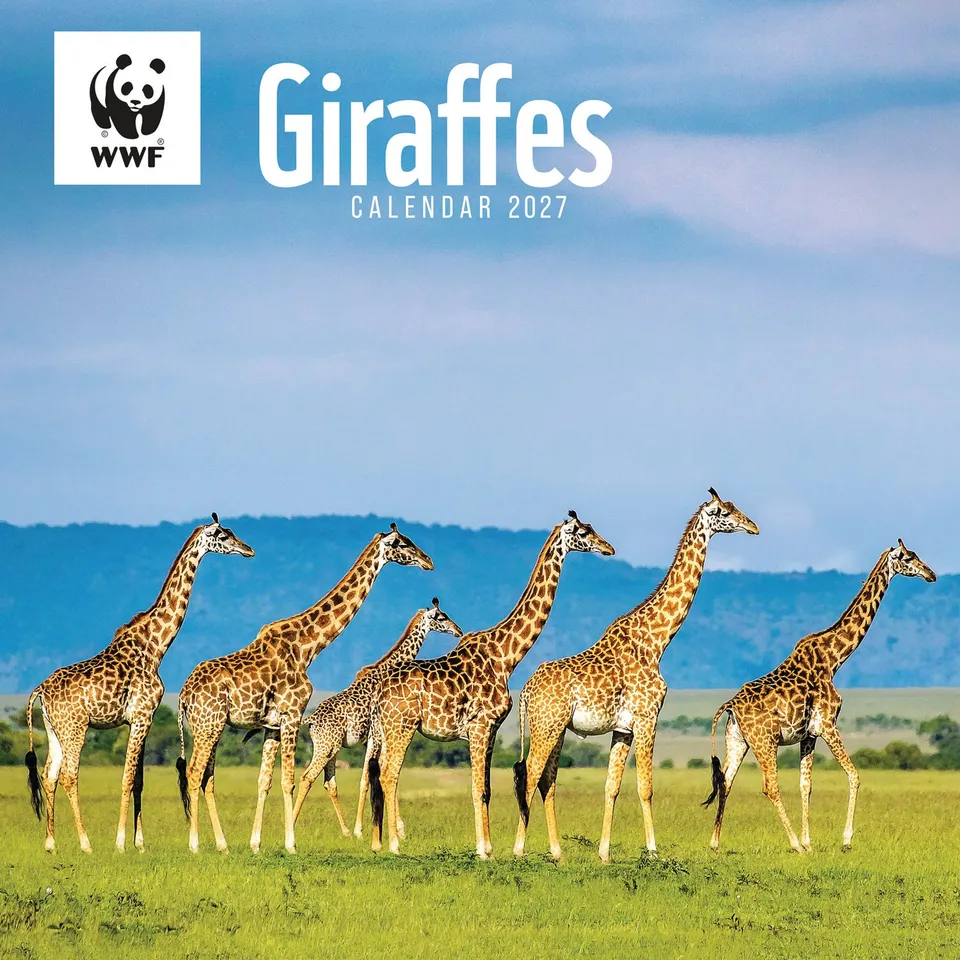 otter-house-giraffes-wwf-wandkalender-2027-giraffen image 1