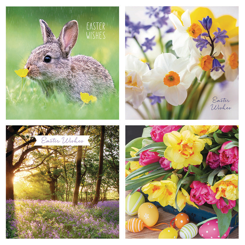 otter-house-easter-osterkarten-5er-pack-fotografisch image 1