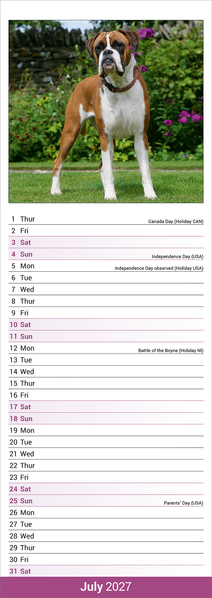 otter-house-boxer-slim-kalender-2027-hunde-schmal image 3