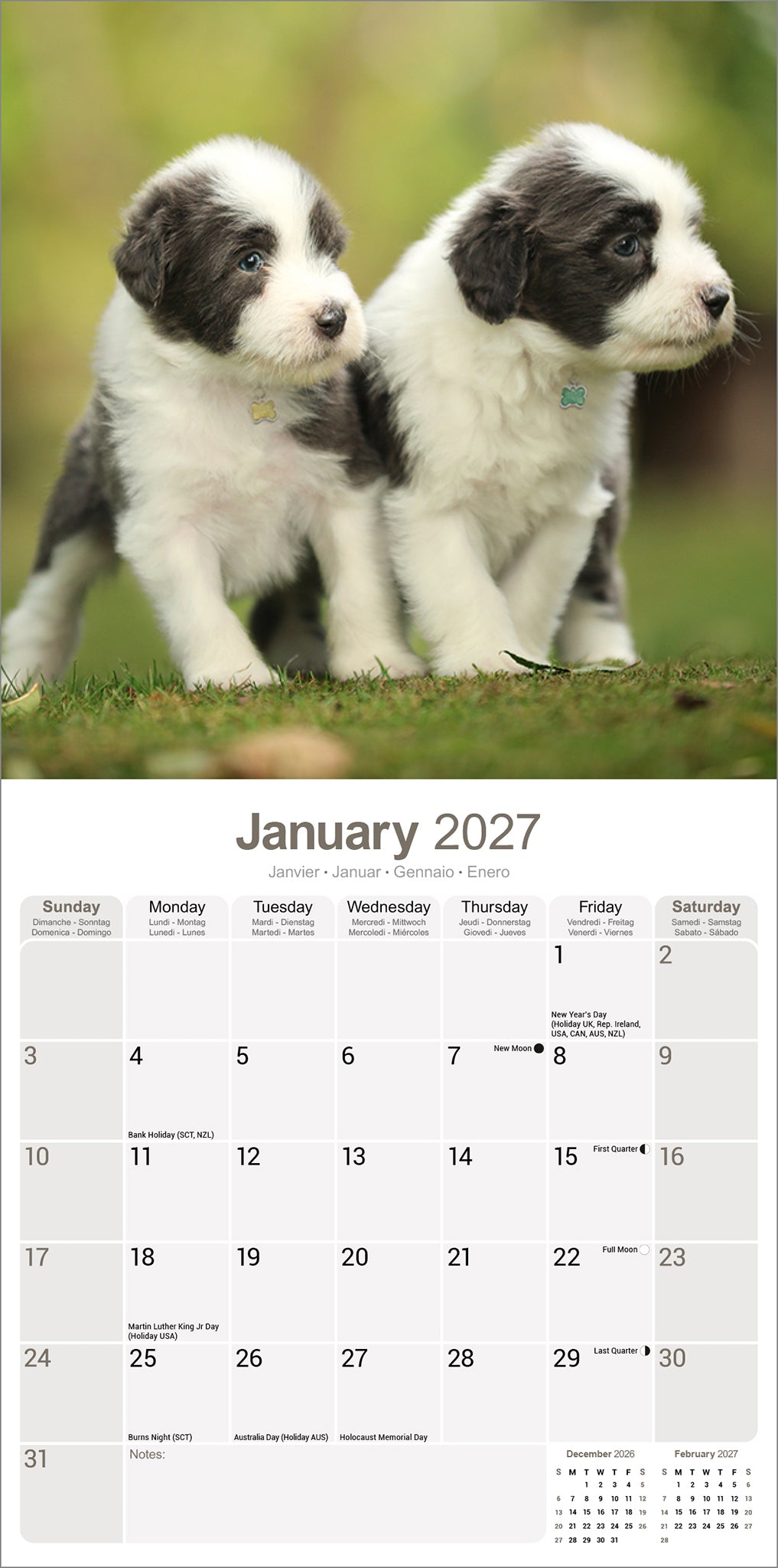 otter-house-bearded-collie-wandkalender-2027-hund image 3