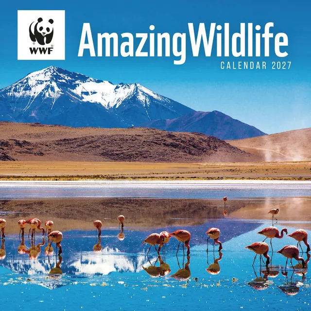 otter-house-amazing-wildlife-wwf-wandkalender-2027-tiermotive image 1