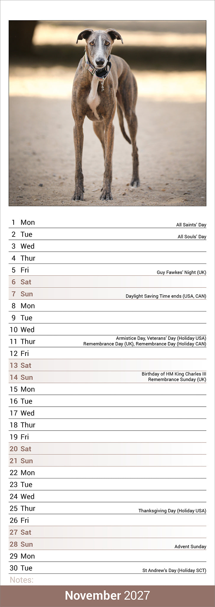 otter-house-greyhound-slim-calendar-2027-wandkalender-hund image 3