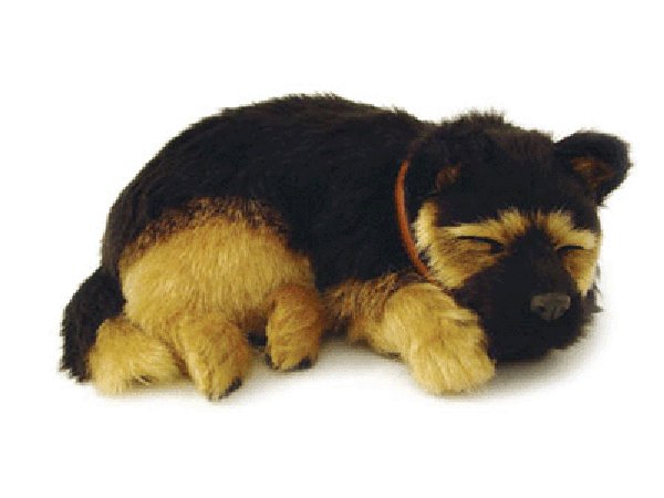 otter-house-precious-petzzz-pl-schhund-sch-ferhund-mit-bett image 1