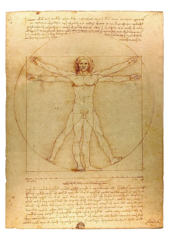 pomegranate-leonardo-vitruvian-man-postkarte-geschichte image 1