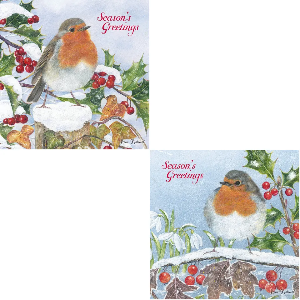 otter-house-christmas-perching-weihnachtskarten-10er-set-vogel image 1
