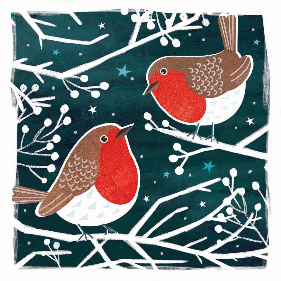 otter-house-christmas-robins-berries-weihnachtskarten-10er-rspb image 1
