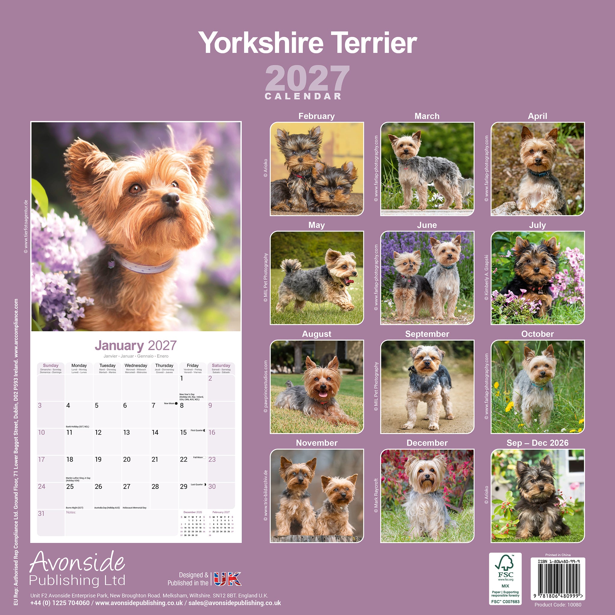 otter-house-yorkshire-terrier-wall-calendar-2027-hunde image 2