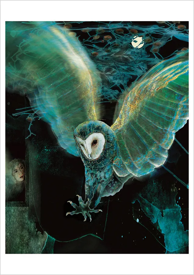 pomegranate-jeannine-chappell-barn-owl-3-klappkarte-blanko image 1