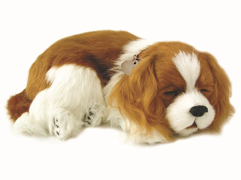 precious-petzzz-cavalier-king-charles-pl-schtier-mit-bett image 1