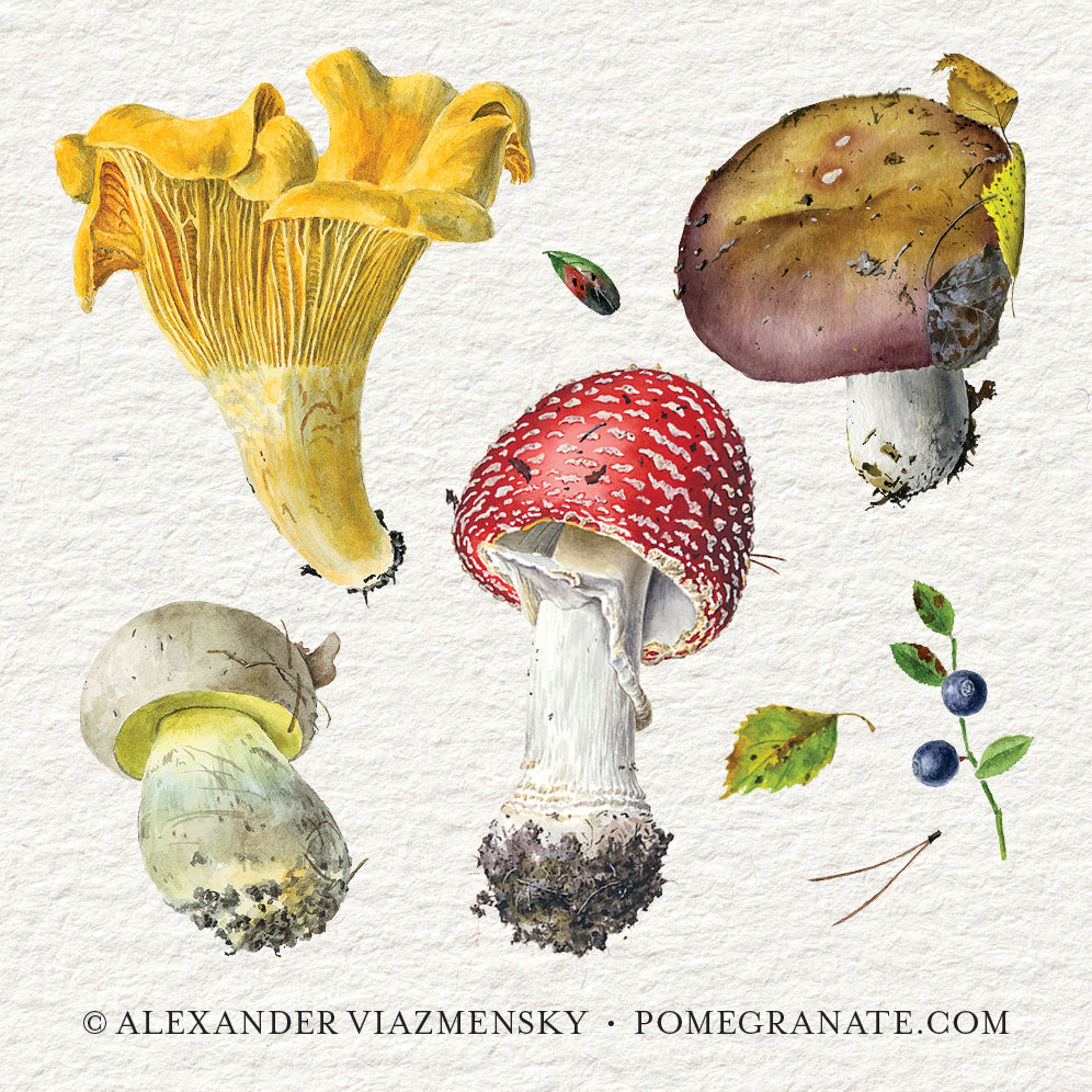 pomegranate-mushrooms-viazmensky-memory-spiel-36-paare-pilze image 3