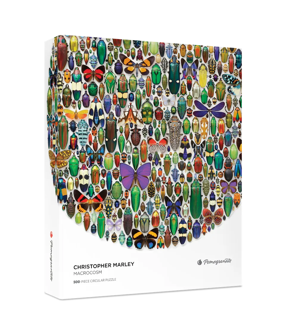 pomegranate-christopher-marley-macrocosm-puzzle-500-teile-rund image 1